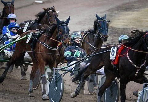 Miten turvataan hevostalouden tuen jatkuvuus, ennakoitavuus ja riittävyys, puolueilta kysyttiin.