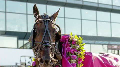 Brixton Medicalin kasvatti Don Fanucci Zet vieraili keväällä 2023 Finlandia-ajossa. Kuva: HU arkisto