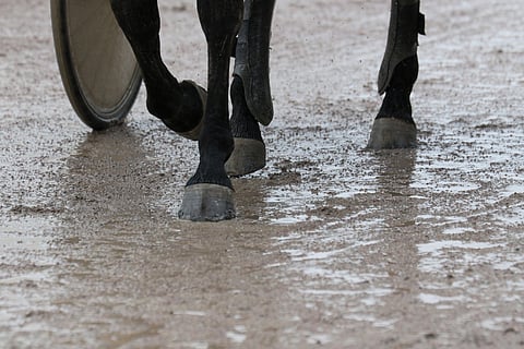 Viimeaikaiset Kavioliiga-ravien peruutukset rataolosuhteista johtuen toivat radoille sanktioita Hippoksen hallituksen käsittelyssä.