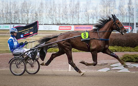 Ikä ei paina Seinäjoen esityksen perusteella Algot Zonettia. 9-vuotias ruuna kiersi pitkän, hienon kirin.
