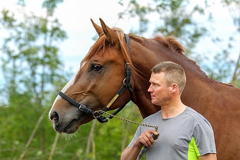 Hannu Hietasen Joriini joutuu viettämään alkukesän sairaslomaa.