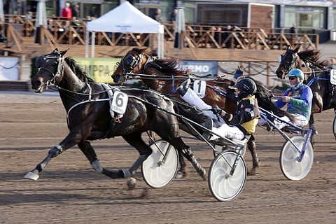 Väinö-Kalle Korhonen ei säästellyt tuuletuksen kanssa huomatessaan ensimmäisen voiton Vermossa olevan käsillä.