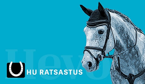 Tukes selvitti ratsastuspalveluiden turvallisuutta – hevosten säikähtely, ratsastajien heikko tasapaino ja esteratsastus riskitekijöitä