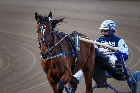 Ava Di Alessia lähtee tavoittelamaan Tammakriteriumin voittoa radalta kolme.
