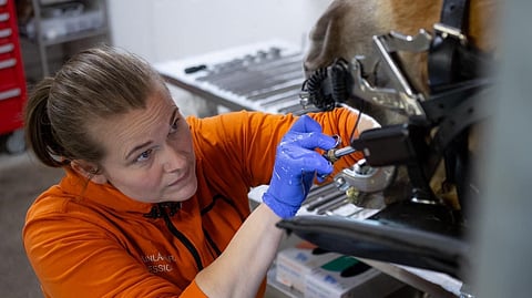 Jessica Von Wendtin klinikka on erikoistunut hevosten hammashoitoihin.