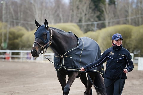 Deangelo ja Etta Pakkanen edustivat Suomen Seinäjoki Racessa ja Finlandia-ajossa.