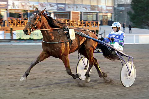 Bean Fighter nappasi 27.4. Vermossa Jyrki Tammimetsän ohjastamana 5 000 euron arvoisen voiton. Samalla se nosti voittosummansa 9 400 euroon.