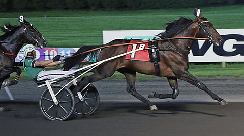 Ecurie D ravasi uljaasti muiden ohi Meadowlandisin maalisuoraa lauantaina. Cuatro de Julio seurasi takaviistosta. Kuva: