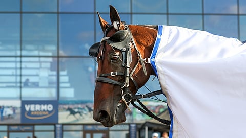 Fantastinen Cokstile osoitti jälleen suuruuteensa. Nyt se on myös Finlandia-ajon voittaja.
