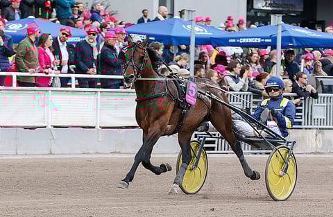 Per Lennartsson ajoi Click Baitilla jo vuoden 2021 Elitloppetissa.