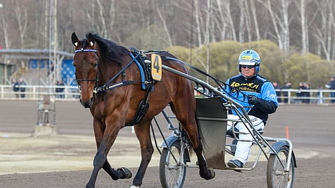 Piece Of Heron on tarkoitus palata radoille ensi vuoden puolella.