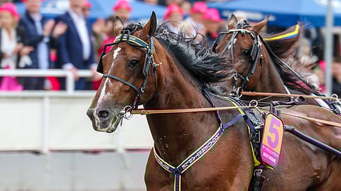 Night Brodde oli Elitloppet-karsinnassa neljäs 09,7-tuloksella. Finaalissa laukka maalisuoran alussa pilasi harmittavasti pelin.