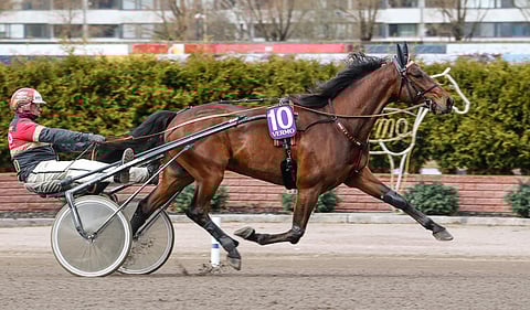 Unique Creation ja Tapio Perttunen.