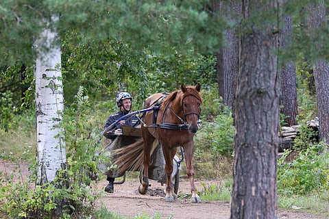 Siirin Valtsu odottelee klinikalle pääsyä kotimaisemissaan.