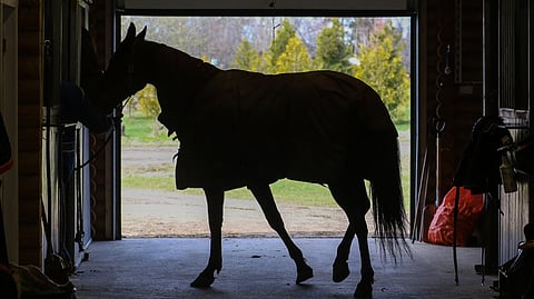 Ravivalmennustoiminta päättyy Ruukissa – Mauri Jaara näkee oman jatkonsa mahdollisena, jos sopimusta muutetaan (tilaajille)