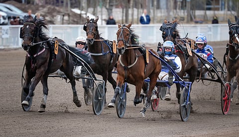 An-Dorra (2) taipui Magical Princessin rinnalta kakkoseksi Tammaderbyssä.