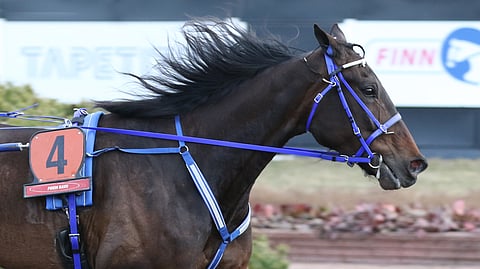 Sahara Peyotella on tähdätty Suur-Hollola-ajoon jo pidemmän aikaa.