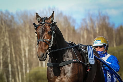 Stoletheshow sai kutsun Osloon.