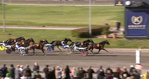 Mister F Daag kurkottaa voittoon Copenhagen Cupissa.