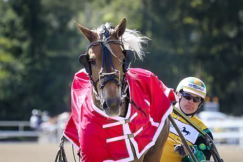 Forssan rata näyttää sopivan Teemu Okkolinin valmentamalle Fransterille, sillä ruunan edellinen voitto tuli 21.5. juuri Pilvenmäellä.