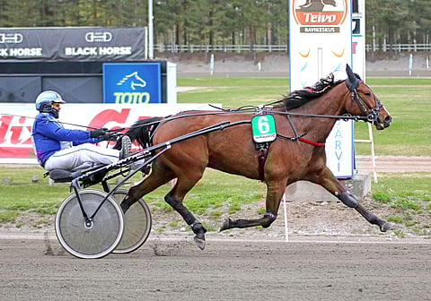 Capercaillie Cock toi Jarmo Saarelalle tiistain ensimmäisen voiton. 8-vuotiaalle ruunalle täysosuma oli puolestaan kauden ensimmäinen.