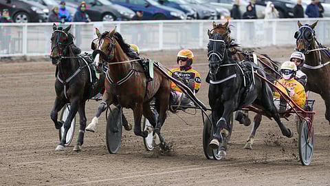 Always Ready taipui Amornero Rocin ja Kurri Jari Bokon välistä päätöspuolikkaalla pahoin.