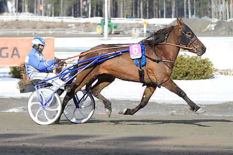 Siriliisi on huomattavasti tulosriviään etevämpi ja on mainio ideavarma.