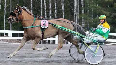 Synnynnäinen vika rajoitti Arkenttiinan kilpailemista ja menestymistä.