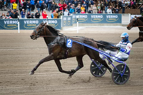 Corazon Combo on Kolmivuotispokaalin suosikki.