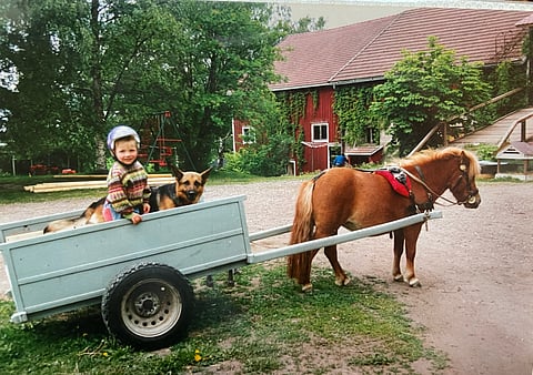 Uudessa kodissa Nurmijärvellä. Ponin nimi on jäänyt unholaan, mutta koiran nimi oli Naska ja se sekä saattoi Villen kouluun, että haki sieltä. Opettajat eivät kuulemma olleet asiasta valtavan innoissaan.