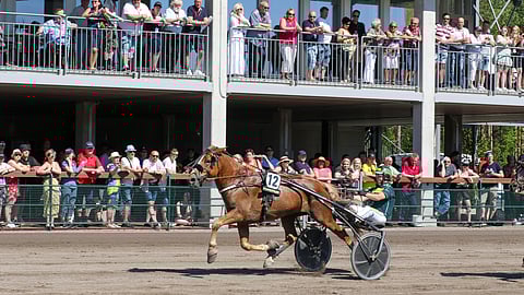 Viesmanni pamautti Hannu Torvisen ajamana porukan uloimpana lopulta selvästi ykköseksi.