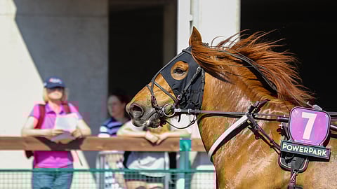 Lakan Leijan vuosi 2024 on ollut vastoinkäymisiä täynnä.