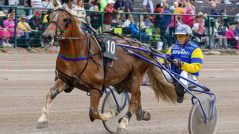 Karlaksessa on ideaa avauskohteeseen.