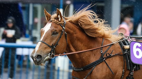 Kartier avaa talvikautensa keskiviikkona.