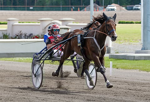 Interlude Ferm starttaa lauantaina Ponsse Cupin finaalissa Santtu Raitalan ohjastamana.