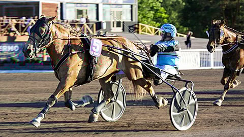 Jouko Tarvaisen valmentaman ja ohjastaman Disainin kyyti oli kilpasiskoille voittoa ajatellen liikaa.