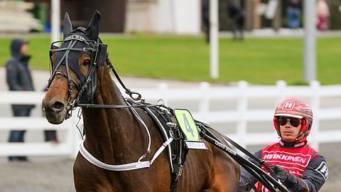 Callela Ikaros on nousukunnossa ja on päätöskohteen ideavarma.