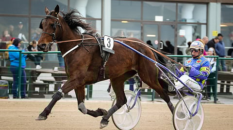 Nopea Julienne Cane on maililla ideavarma.