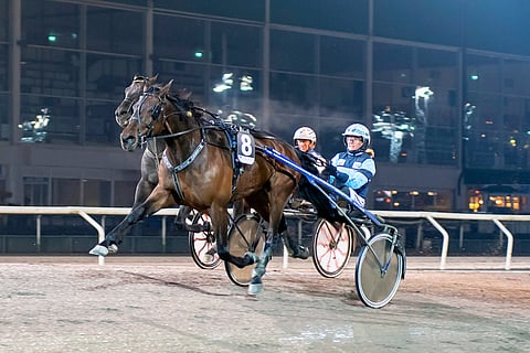 Hierro Boko siirtyy kuvassa hevosta ohjastavan Hanna Lähdekorven valmennuksesta Hannu Korven talliin.