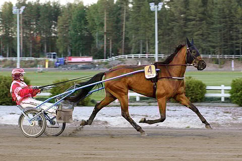 Shackhills Twister ja Jari Kinnunen veivät nimiinsä Ilkka-Pohjalainen ajon finaalin 2.6.2022.
