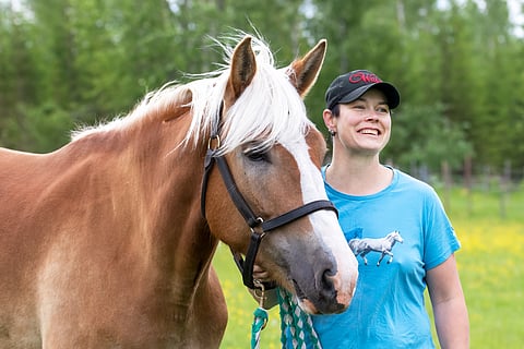 Sirpsakka on Satu Juntusen toivehevonen.