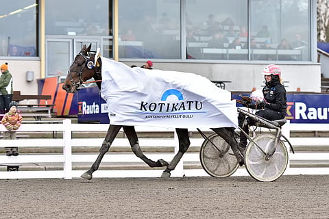 Endless Storya juhlittiin toukokuussa kahdesti Suomen T75-voittajana.