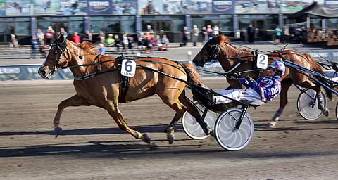 Varjonova hallitsi keulasta voittoon. Lakan Leija tsemppasi rinnalta hopealle.