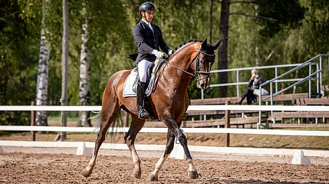 Sami Vuoristo ja New Hill Danneman viime kesänä.