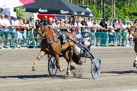 Heikki Mikkosen Hipsun Poju on tiistai-illan Toto5-pelin idea.