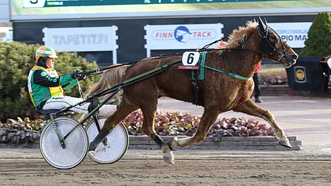 Wuuga on toinen ideavarmoista.