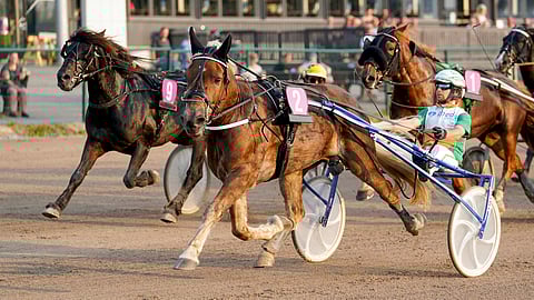 10-vuotias ruuna Hotlinki juoksi lakeudella 26,1/2100 metriä.