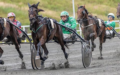 Niko Jokelalla sai Rovaniemeltä tuliaisiksi neljä voittoa. Special Gun oli vahvin johtavan rinnalta.