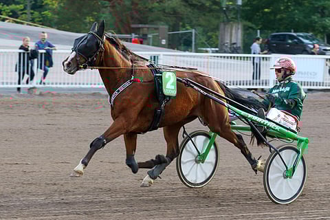 7-vuotiaan Tattoo Avengerin oli määrä kisata viikonloppuna Lahden Jokimaalla.