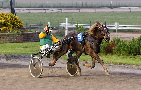 Villi Viekkaus lähtee Pilvenmäki Special -finaaliin yhtenä suosikeista.